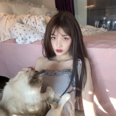 来自收容所的爱